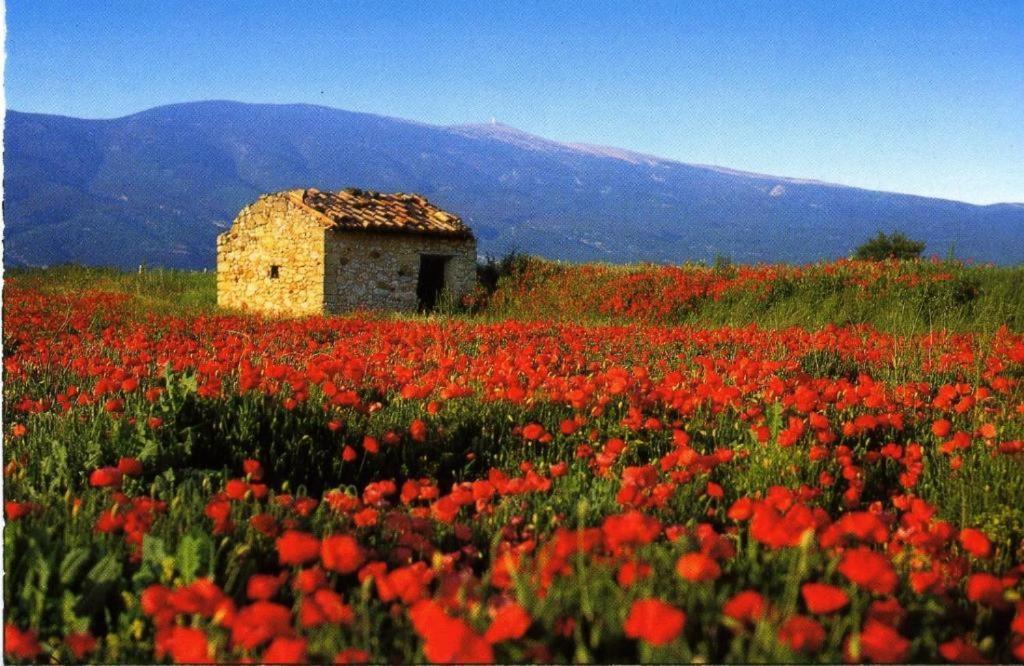 La Petite Maison Céreste Екстериор снимка